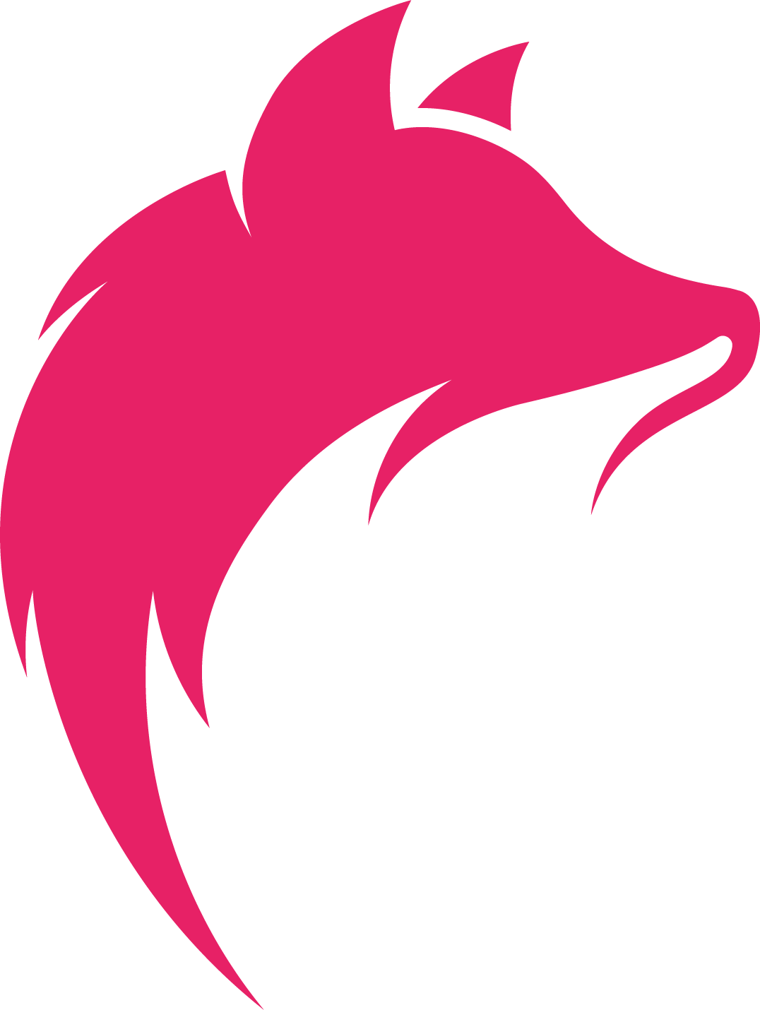 Fox Player